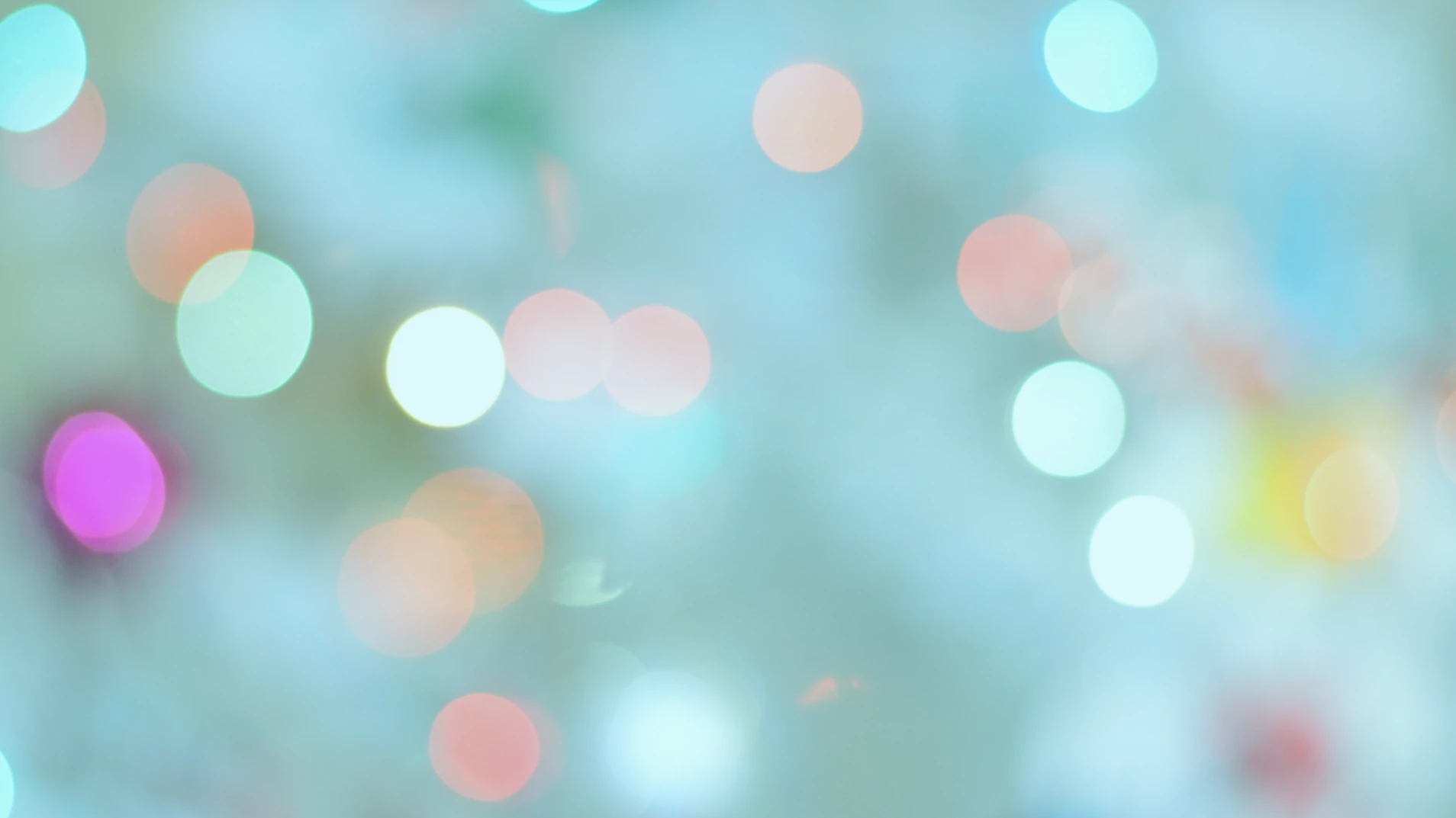 pg-header